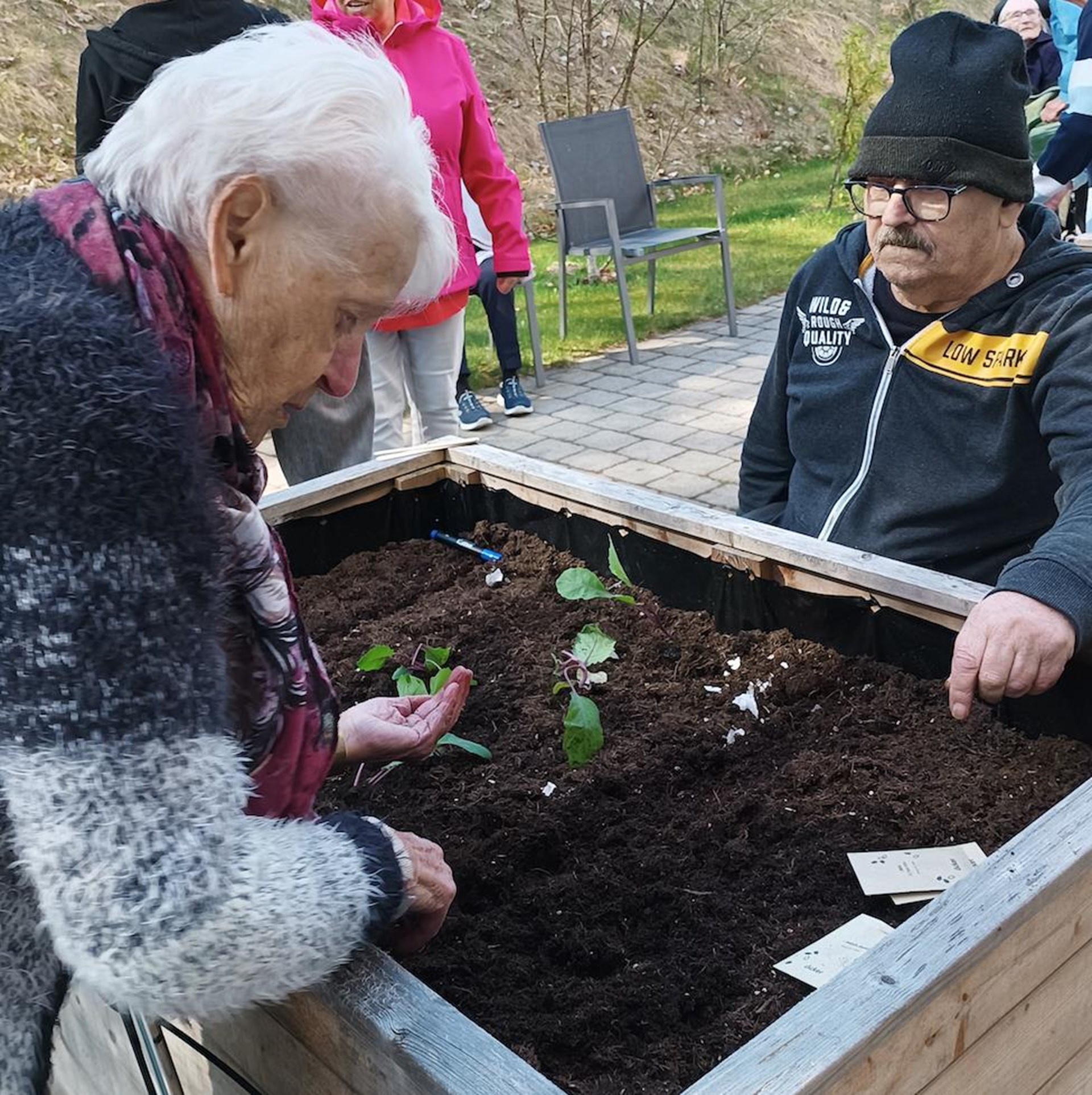 ewohnerinnen und Bewohner der Caritas-Senioren- und Pflegeeinrichtung St. Gisela stehen und sitzen gemeinsam an einem Hochbeet im Garten. Eine Seniorin pflanzt Setzlinge in die Erde, weitere Personen schauen zu.