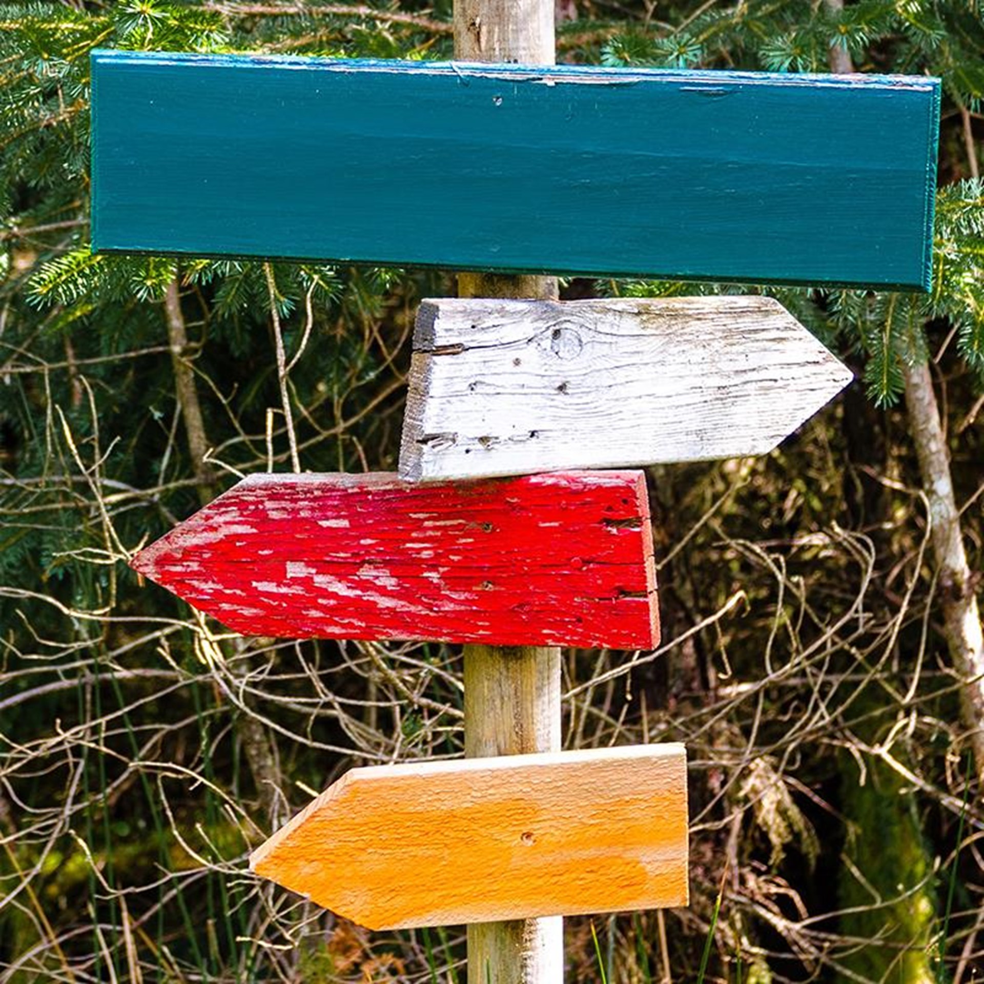 Ein hölzernes Schild mit drei unterschiedlich farbigen Pfeilen, die in verschiedene Richtungen zeigen.